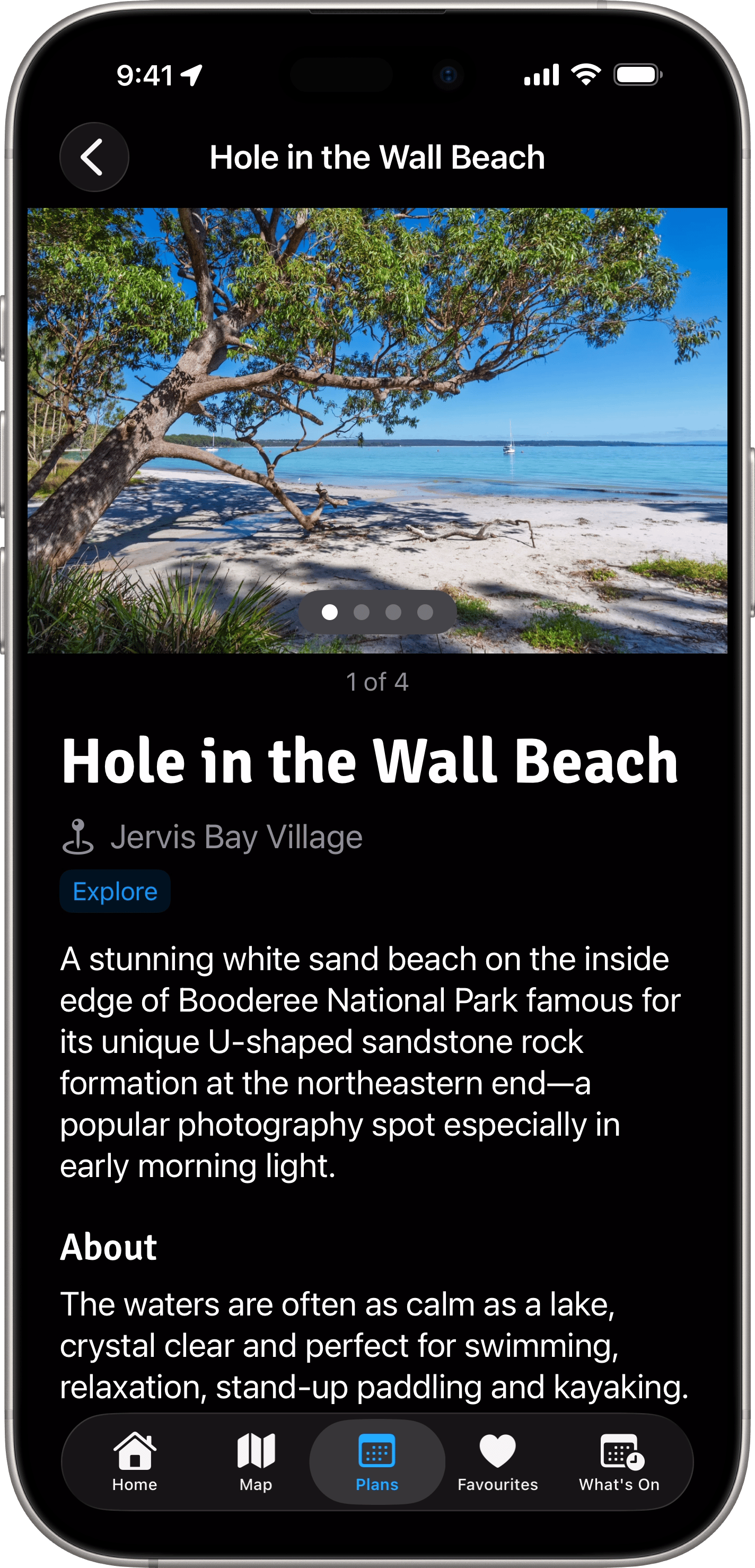 App Screenshot - Details